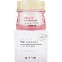 The Saem Увлажняющий питающий крем для сухой кожи Iceland Water Volume Cream (80 мл)